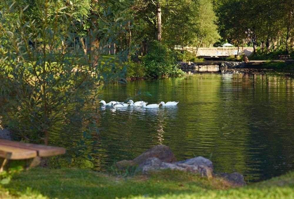 Outdoor Pictures 21