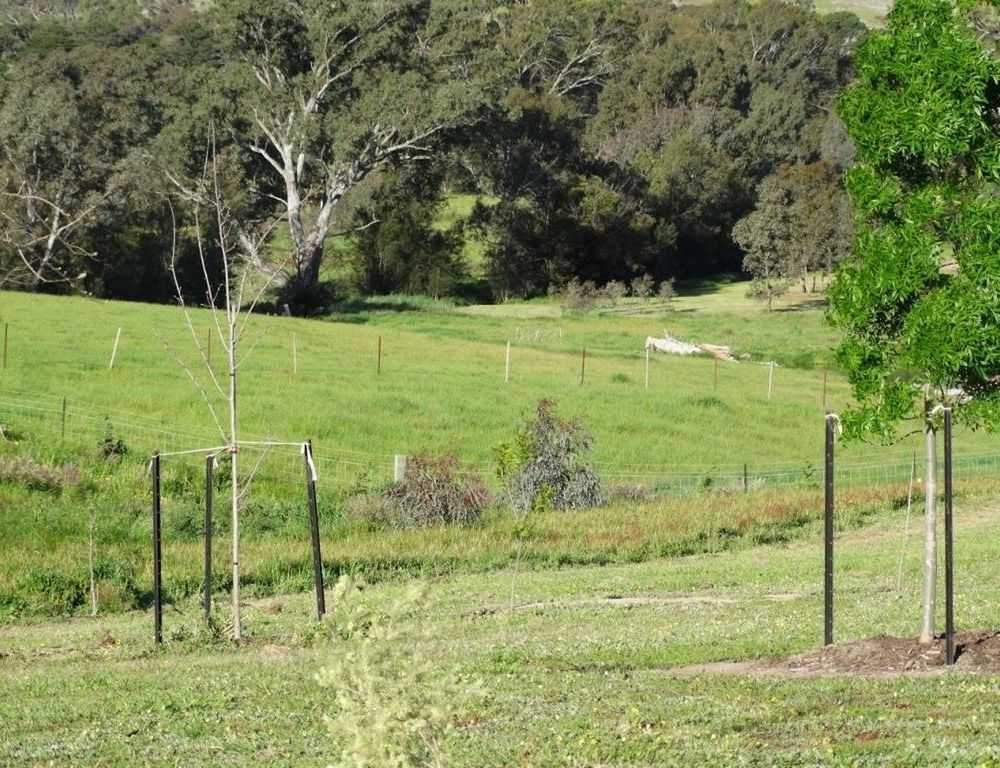 Outdoor Pictures 7