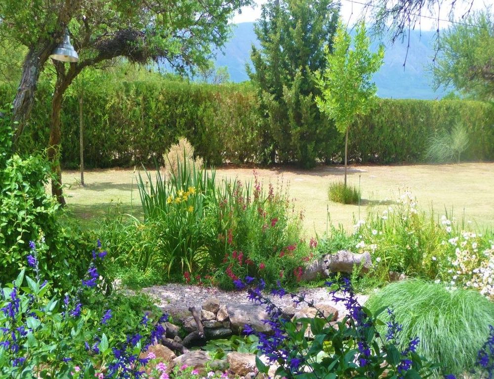 Outdoor Pictures 9