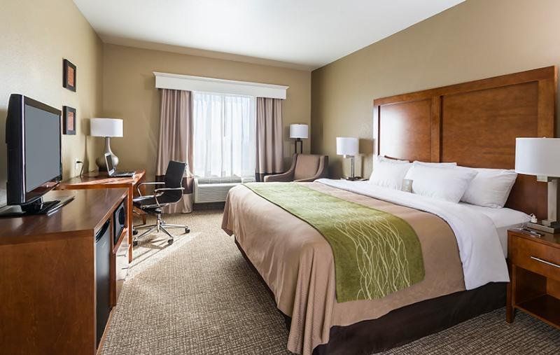 Comfort Inn & Suites Snyder