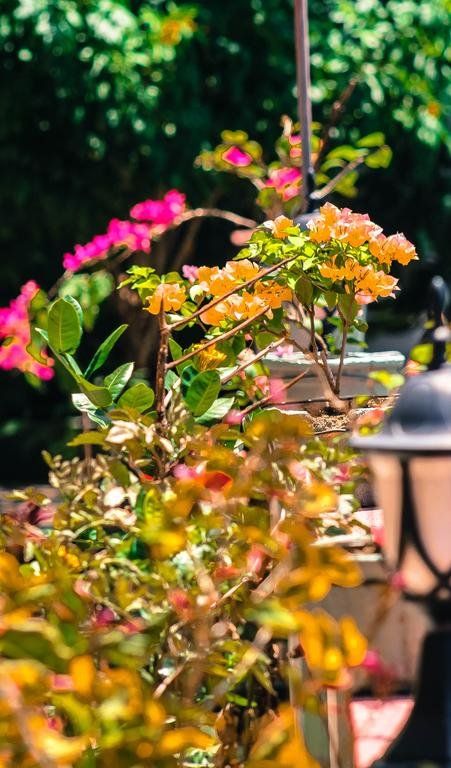 Outdoor Pictures 23
