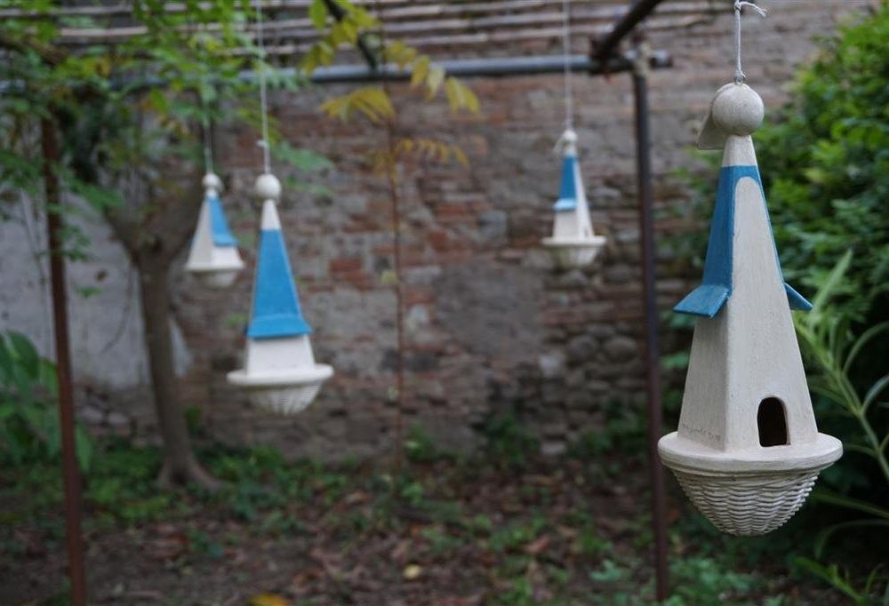 Outdoor Pictures 8