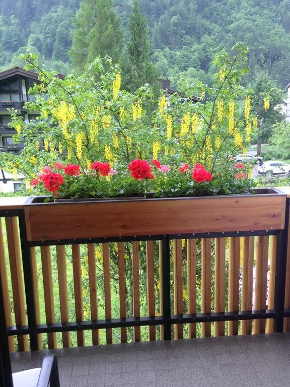 Outdoor Pictures 23