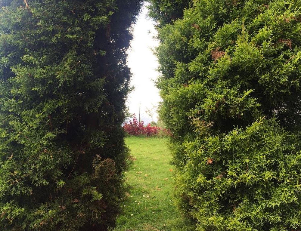 Outdoor Pictures 3