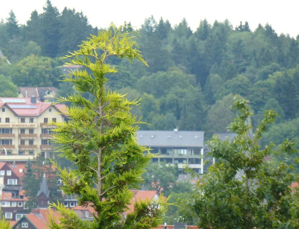 Outdoor Pictures 24