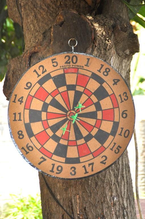 Outdoor Pictures 17