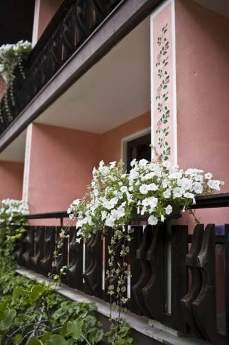 Outdoor Pictures 5