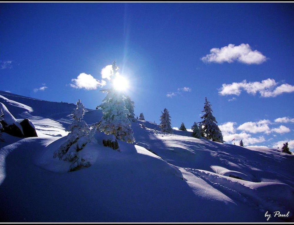 Outdoor Pictures 21
