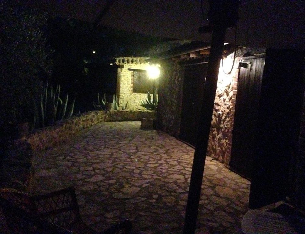 Outdoor Pictures 11