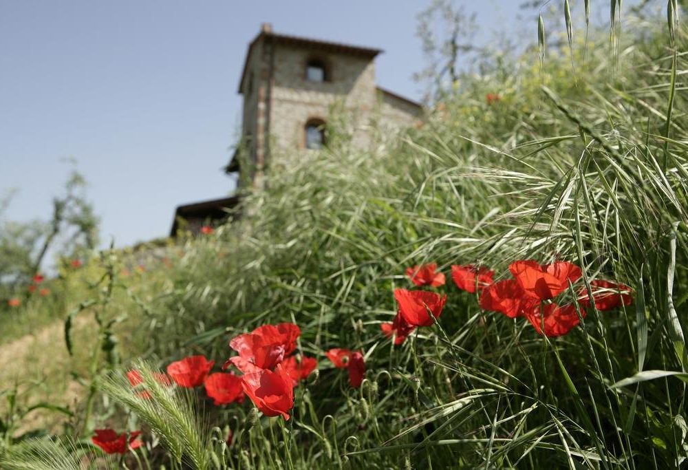 Outdoor Pictures 22