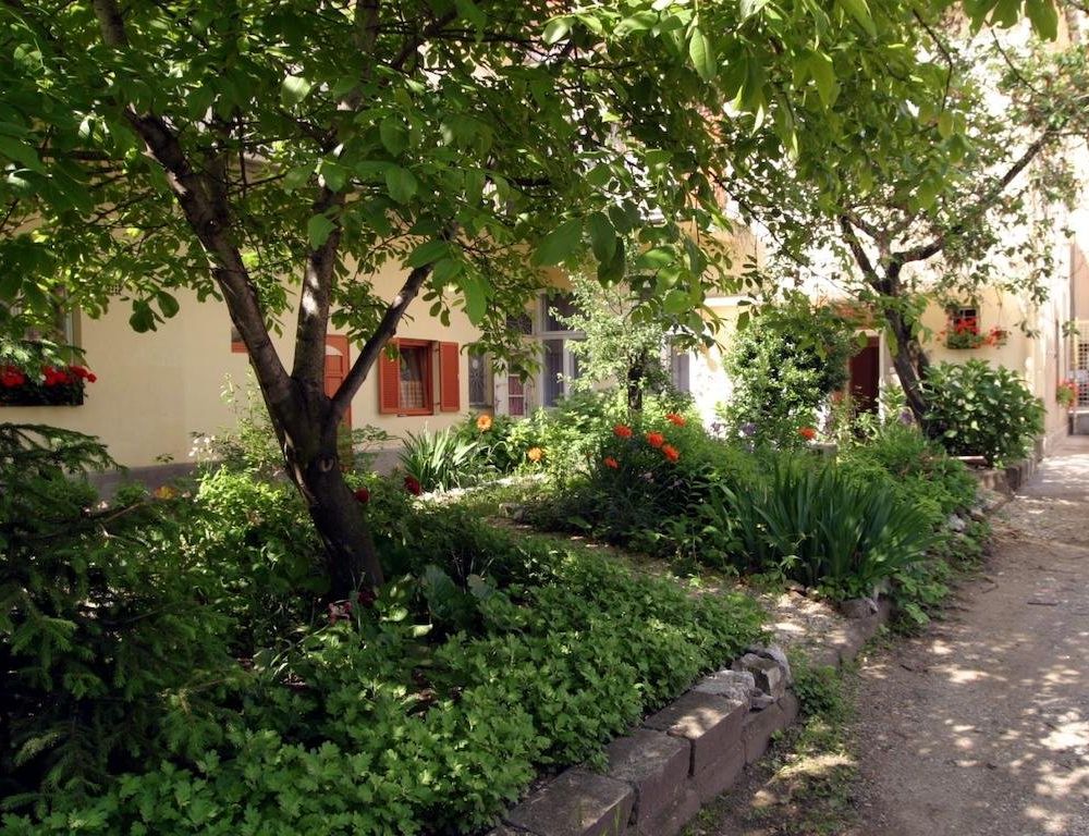 Outdoor Pictures 9