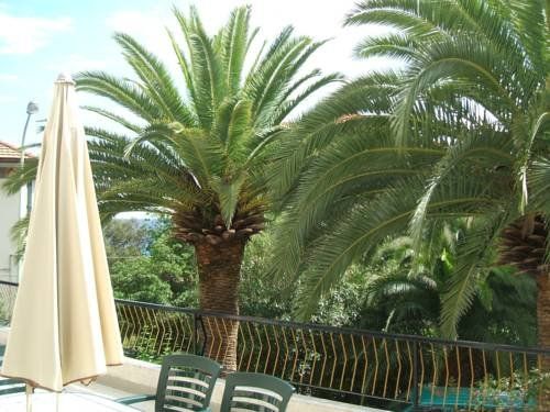 Outdoor Pictures 5