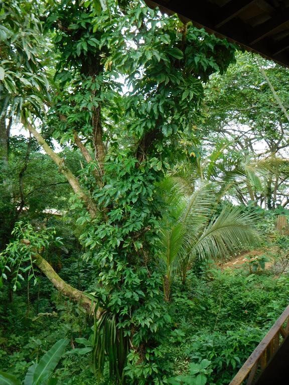 Outdoor Pictures 19