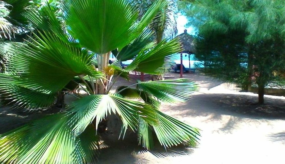 Outdoor Pictures 20