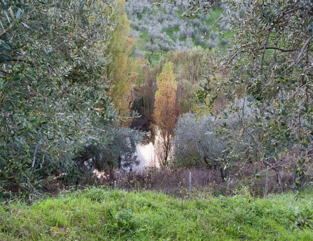 Outdoor Pictures 6