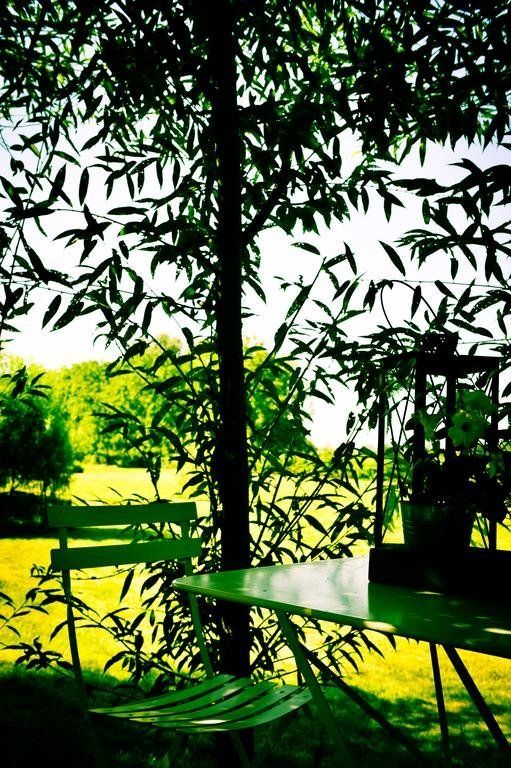 Outdoor Pictures 11