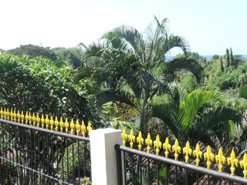 Outdoor Pictures 7