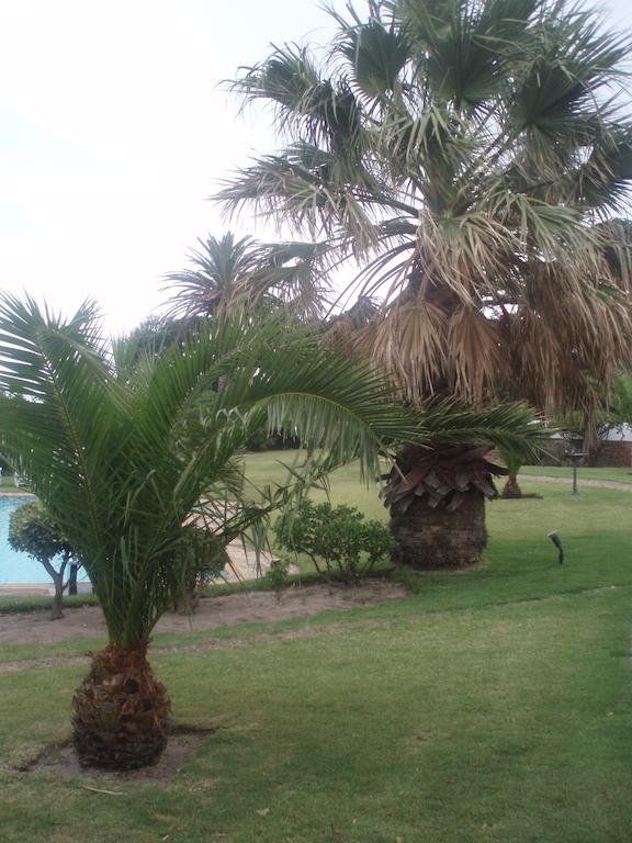 Outdoor Pictures 14