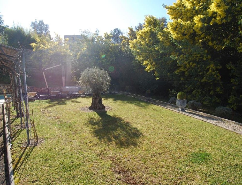 Outdoor Pictures 7