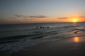 Golden Shore Resort