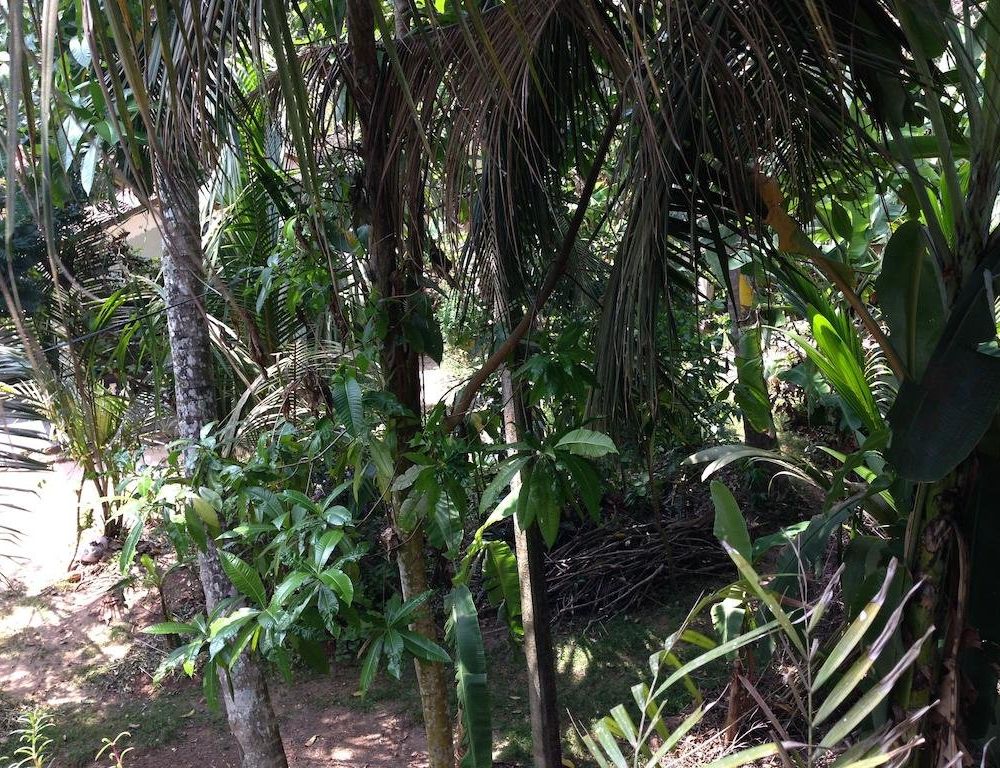 Outdoor Pictures 10
