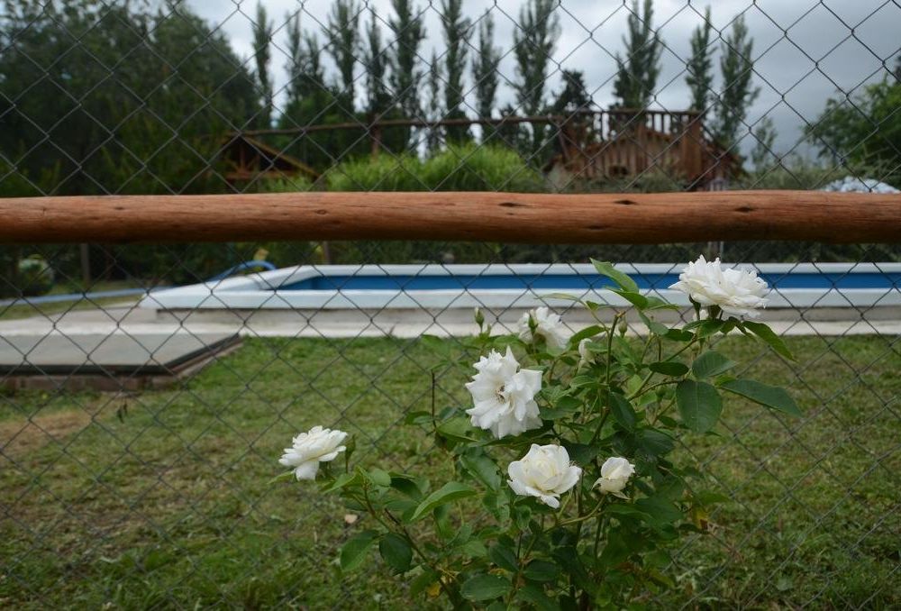 Outdoor Pictures 8
