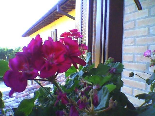 Outdoor Pictures 3