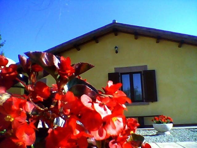 Outdoor Pictures 10