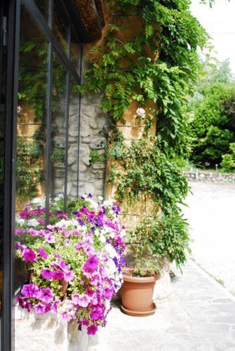 Outdoor Pictures 11