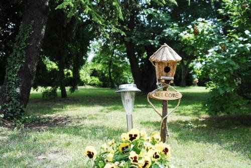 Outdoor Pictures 9