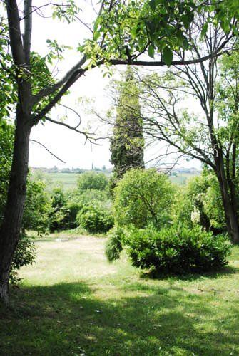Outdoor Pictures 17