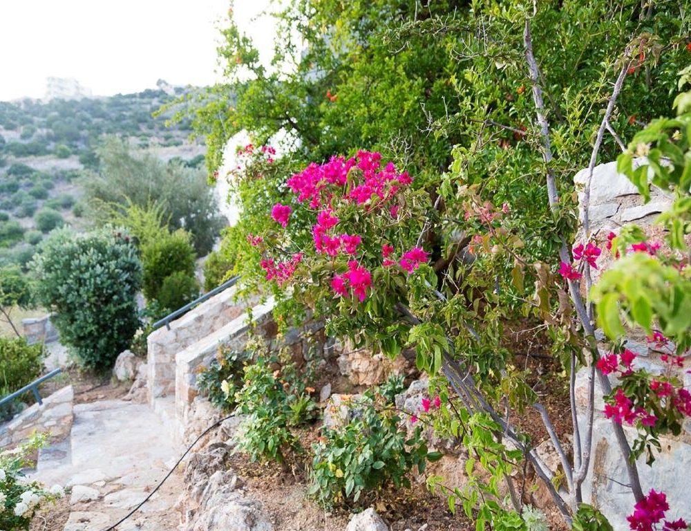 Outdoor Pictures 15
