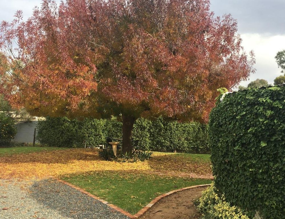 Outdoor Pictures 22