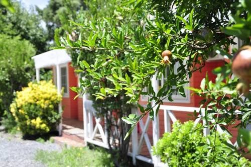 Outdoor Pictures 16