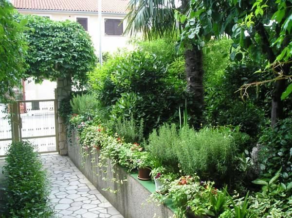 Outdoor Pictures 21
