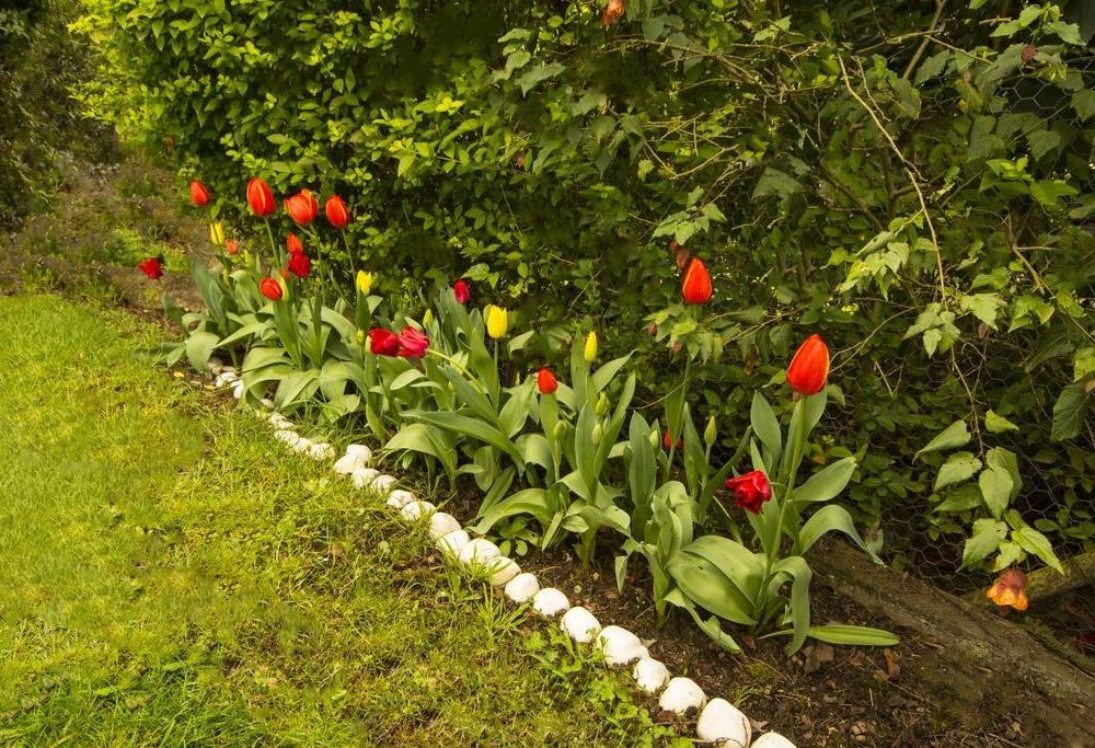 Outdoor Pictures 17