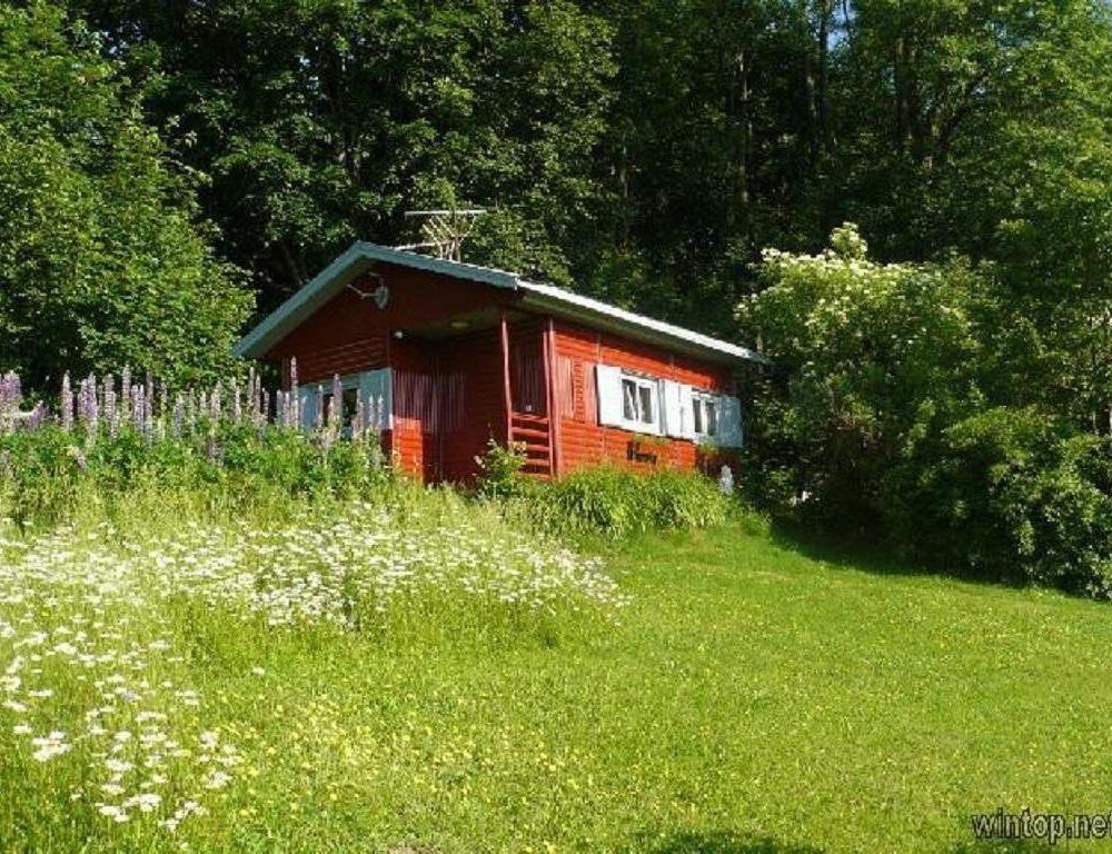 Outdoor Pictures 8