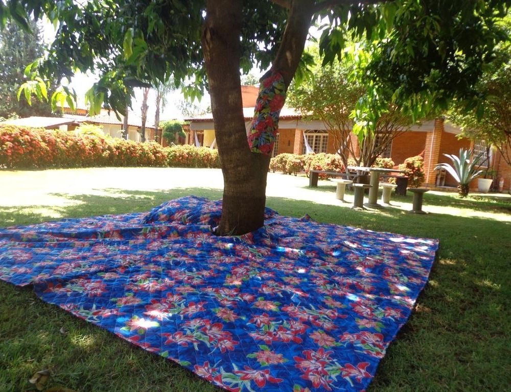 Outdoor Pictures 5