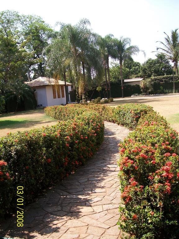 Outdoor Pictures 6