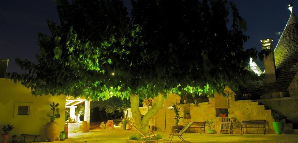 Outdoor Pictures 19