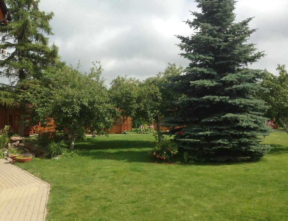 Outdoor Pictures 7