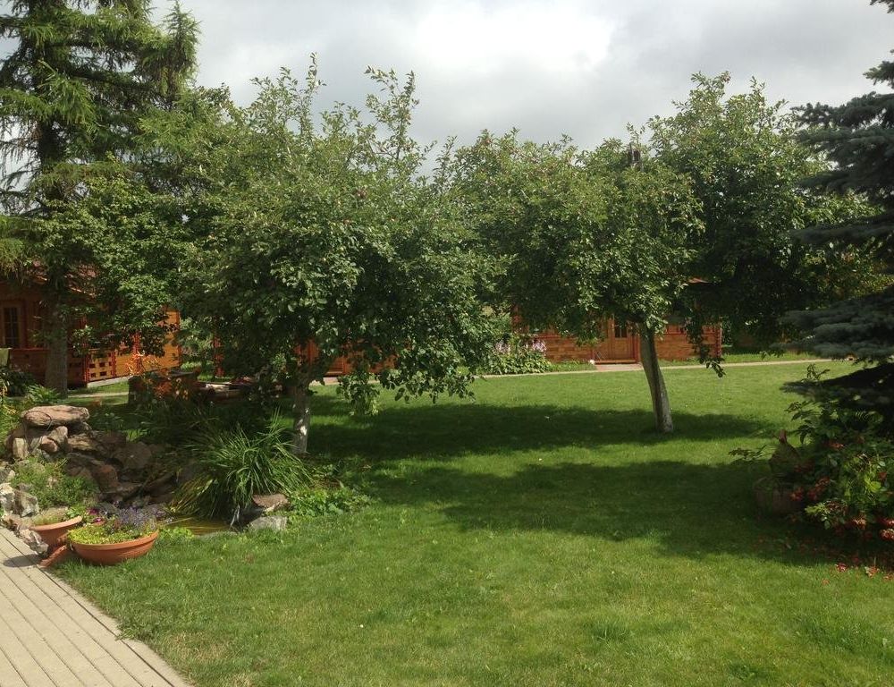 Outdoor Pictures 8