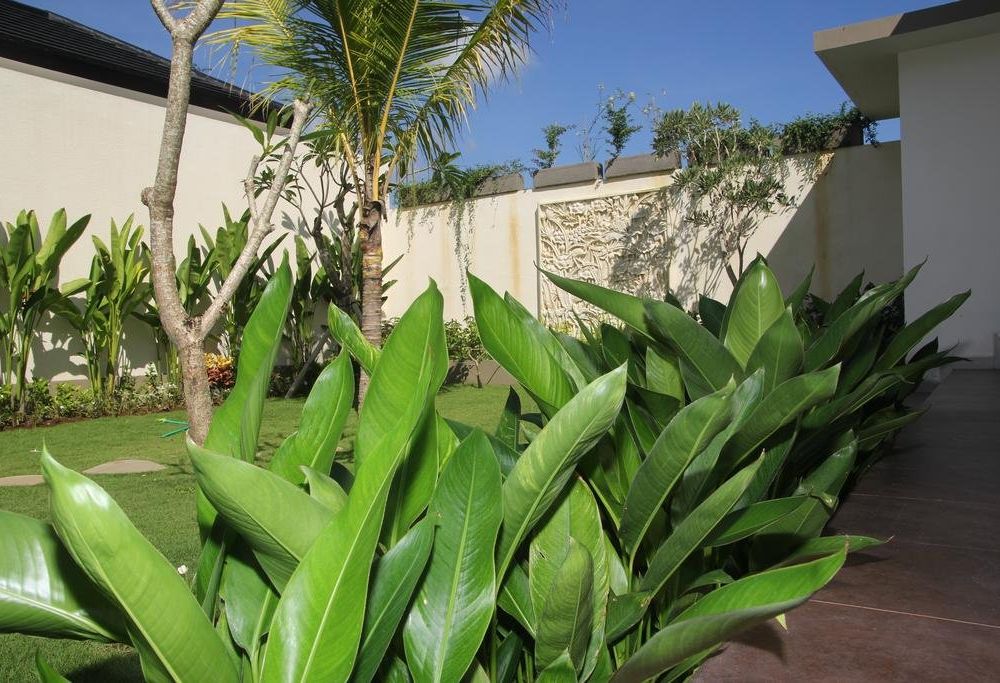 Outdoor Pictures 21