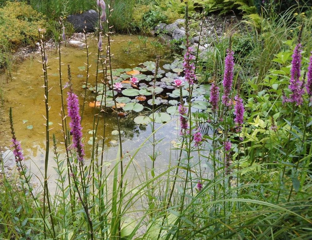 Outdoor Pictures 21