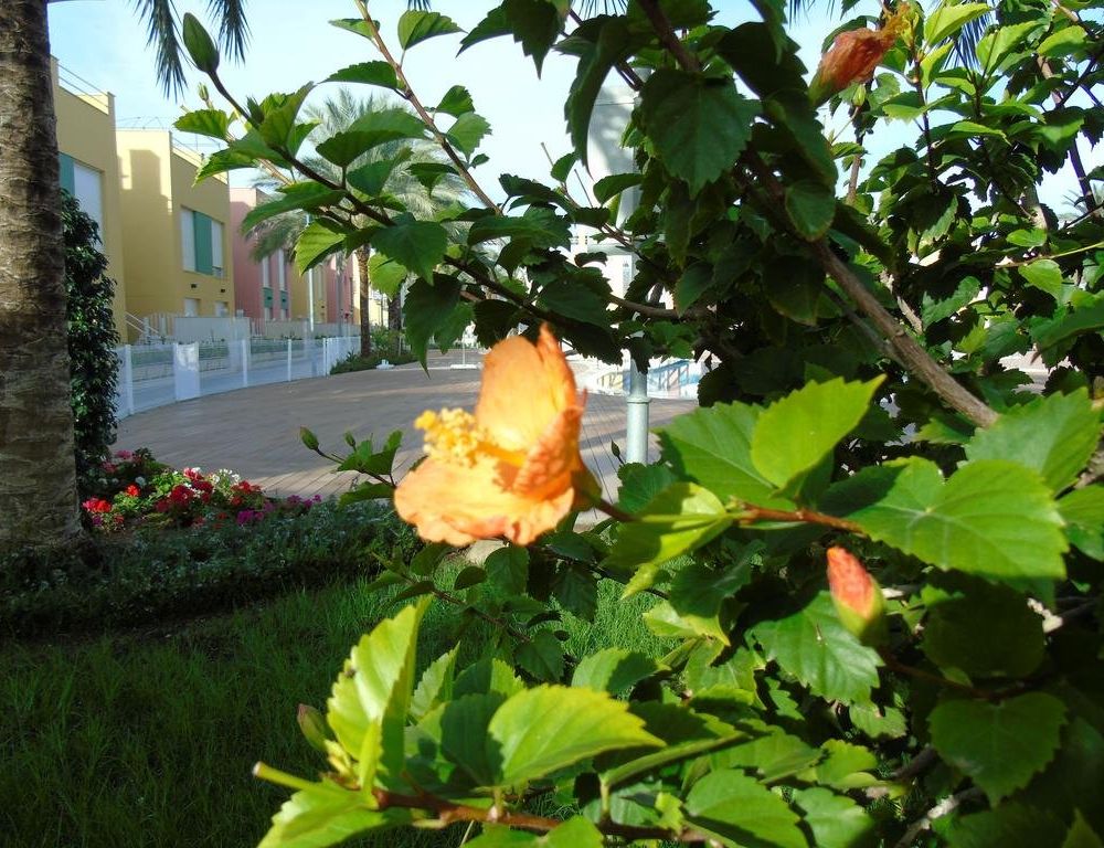 Outdoor Pictures 20