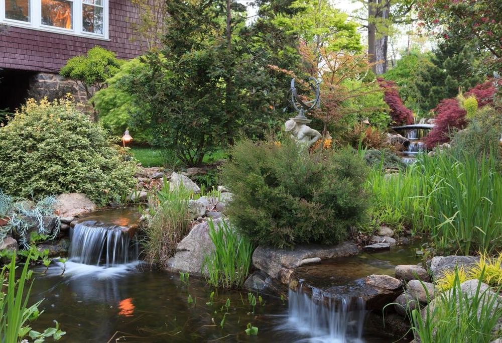 Outdoor Pictures 21