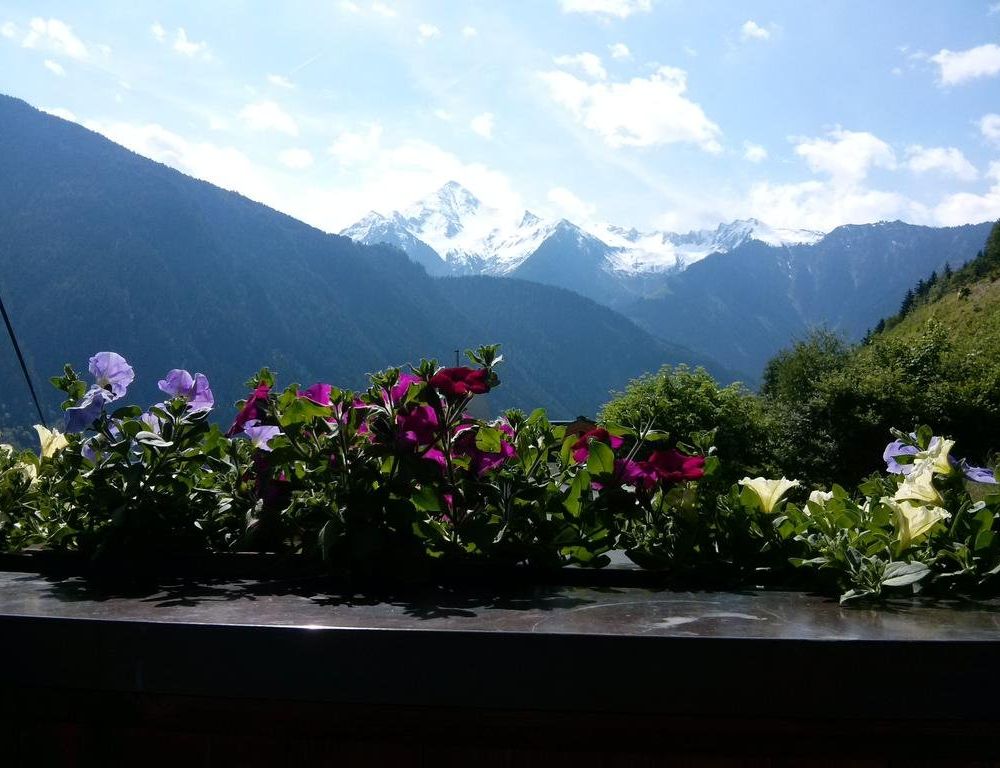 Outdoor Pictures 21