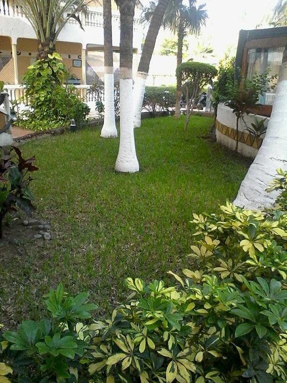 Outdoor Pictures 9