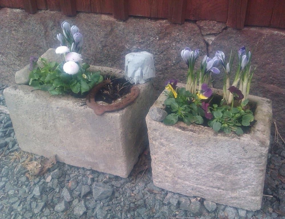 Outdoor Pictures 11
