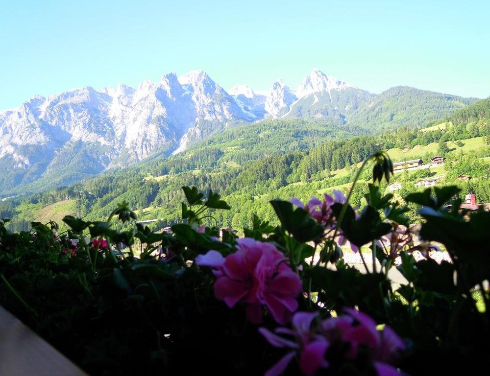 Outdoor Pictures 20